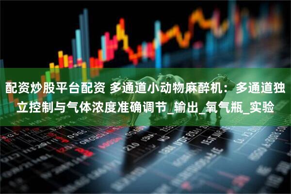 配资炒股平台配资 多通道小动物麻醉机：多通道独立控制与气体浓度准确调节_输出_氧气瓶_实验