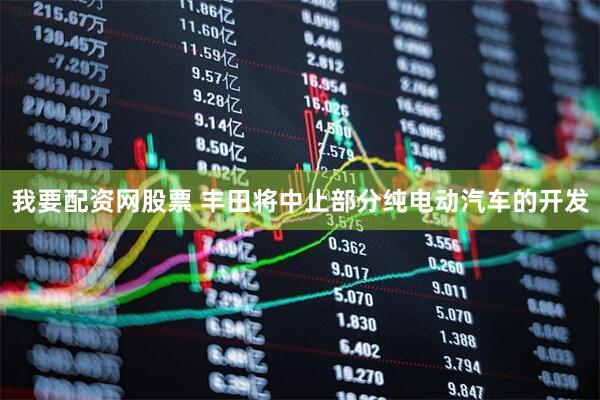 我要配资网股票 丰田将中止部分纯电动汽车的开发