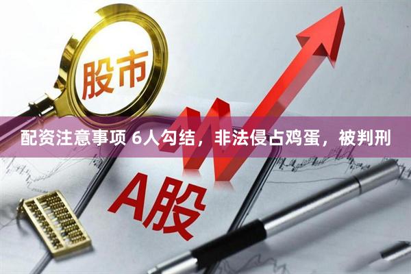 配资注意事项 6人勾结，非法侵占鸡蛋，被判刑